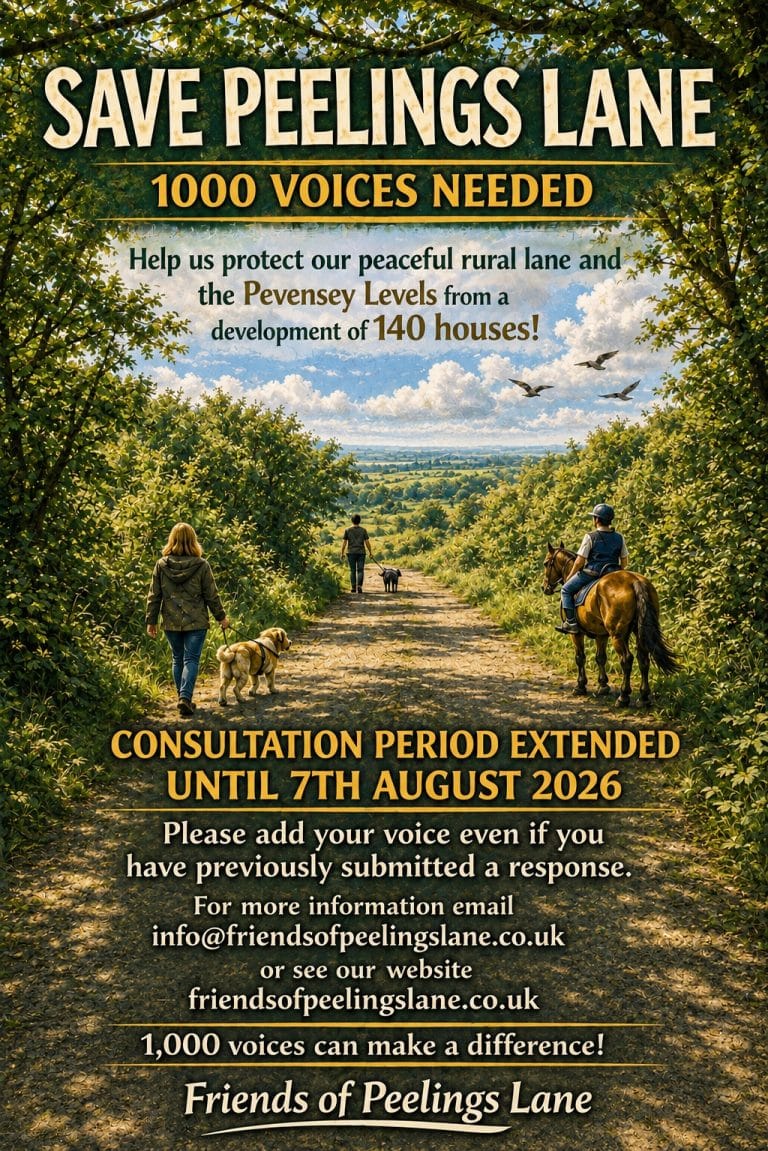 Save Peelings Lane