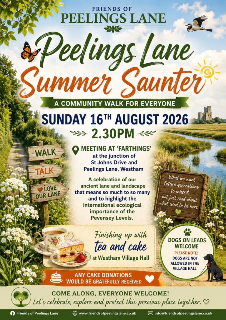 Summer Saunter 16th August 2026 2:30PM